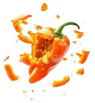 Orange habanero chilli bursting into pieces