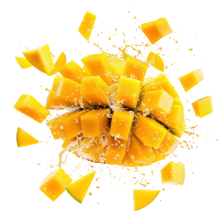 Ripe mango bursting into pieces